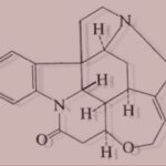 strichnin nitrate w