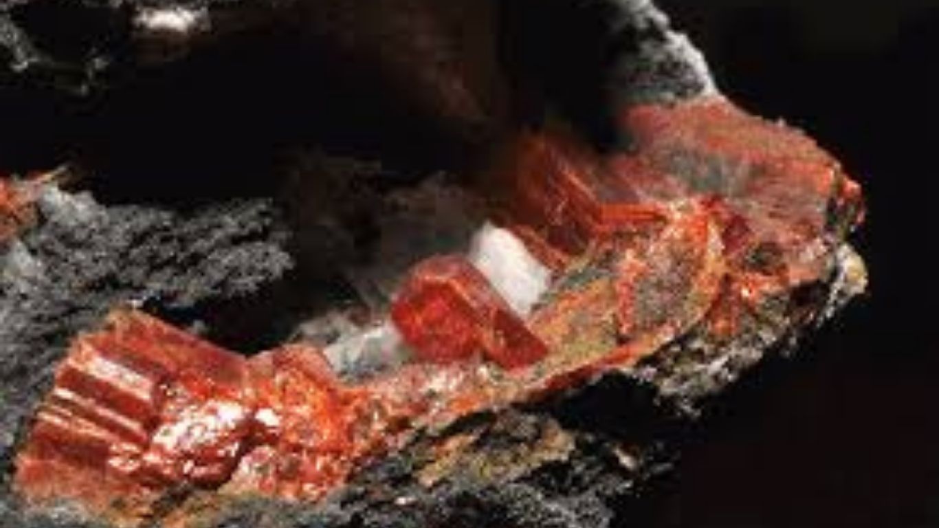 arsenicum sulphuratum rubrum w